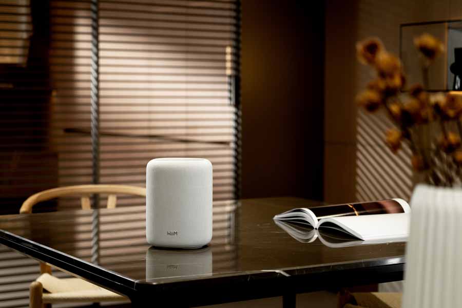 WiiM Sound Lite Smart Speaker
