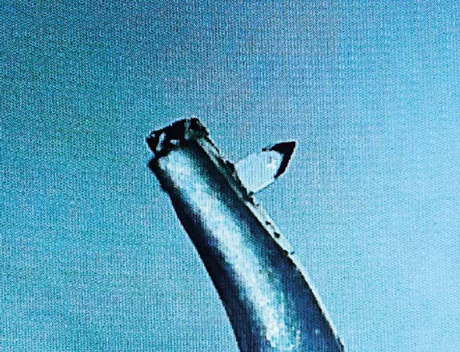 Vertere SOLO Moving Coil Cartridge And Vertere LunA Linear DC Power Supply